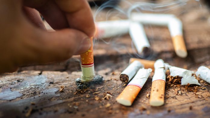 Afrique du Sud : le marché de tabac dominé à 75% par le commerce illicite