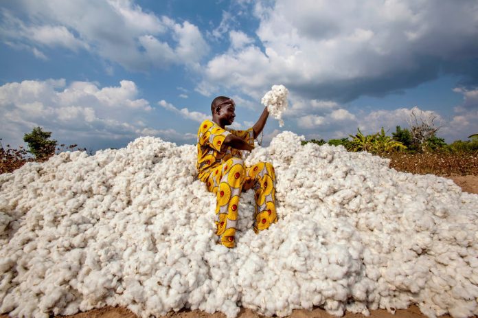 Coton afrique