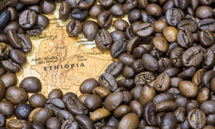 Ethiopie les exportations de café
