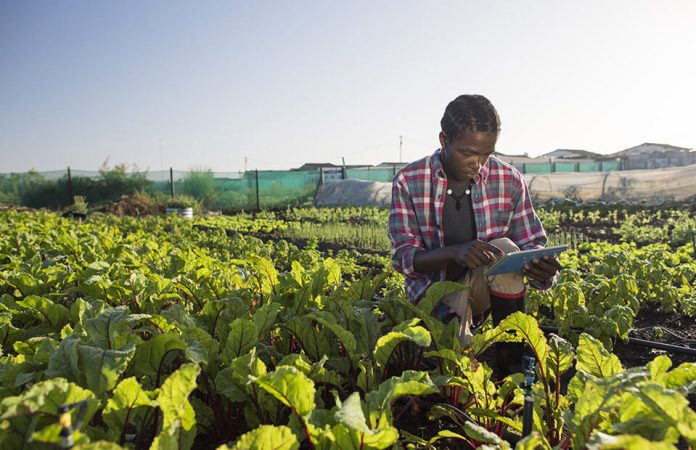 agriculteurs en afrique