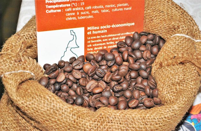 Kenya café